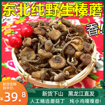New goods Northeast mountain delicacies wild hazel mushroom diced dry goods chicken stewed mushrooms farmers own mountain goods Zhen mushroom 200g