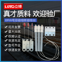 Parallel capacitor single Protection high voltage fuse BRW BRN BR2-7 2KV(10KV) 25p