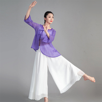 Classical Dance Suit Womens Loose Blouse Flutter and Rhyme Clothing China Gufeng Folk Dance Practice Performance Out of the Costume