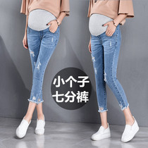 Pregnant women bottoming pants 145 jeans seven points short eight pants spring and autumn small pregnant women autumn 150cm