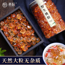 Yangchen Yunnan natural wild peach gum 500g without impurities 1kg can be used for tremella snow swallow soapy Rice