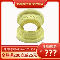Dental super hard plaster simulation tooth model 6D nano relief beauty tooth teaching practice shaping special