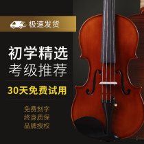 Maple violin adult children professional performance pure manual beginner entrance examination performance for students