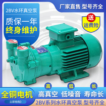 2BV water ring vacuum pump Industrial 2060 2061 2070 2071 High vacuum water circulation pump Corrosion resistance