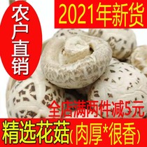 Fangxian special wild and small mushroom dry goods 500g Qingyuan basswood Gutian fresh shiitake mushrooms daytime white commercial bulk