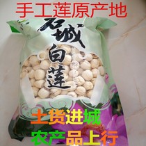 Jiangxi Teprote to Core Lotus Seeds Dry Goods 500g Zhengzong Stone Town Farmwork Hand-made Core White Lotus Sulphur Powder Glutinous easy to cook