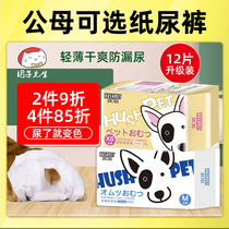 Dog physiological pants diapers pet bitch small puppy menstrual pants aunt towel male dog special diaper female