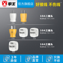 Boxing champion plug triangle two two-pin plug air conditioner 10a16a high-power engineering household power socket without cable