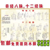 Twelve meridians and acupoints diagram of the human body 12 meridians and eight veins wall chart Chinese medicine health care wall chart poster photo photo stickers