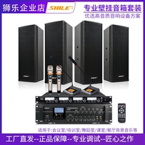 Lion Music AV106BX404 professional conference room audio set Broadcast teaching dance indoor wall-mounted speaker system