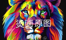 Customized heat transfer sticker heat transfer custom Logo heat sticker printing pattern PET film offset hot stamping