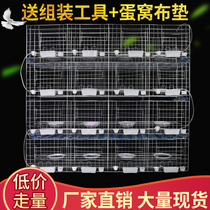 Pigeon cage Breeding cage Household 12-bit pigeon breeding cage 16-bit meat pigeon breeding cage Large matching pigeon cage