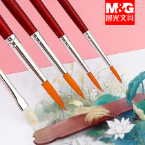 Chenguang water chalk set primary school students with professional childrens kindergarten watercolor brush brush set beginner hand painted adult brush oil brush watercolor paint brush color paint pen Art Pen