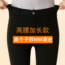 Large size women pants chubby mm200 catty high number of children lengthened section 180 small footed pencil spring autumn high waist 175 beats bottom pants