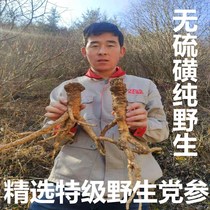 Super-grade wild codonopsis 500g wild codonopsis can cut wild party ginseng powder 20 root