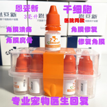 Stem cells Entuxin pet cat corneal injury dog corneal ulcer rot bone perforation repair eye drops