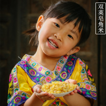 Soaphora rice double pod Yunnan wild special natural 500g bulk big seeds sugar-free sulfur a pound can be used as snow swallow peach gum