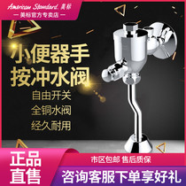 American standard bathroom hand press type Flushing Valve urinal commercial toilet flushing valve flush valve hand press valve 9802