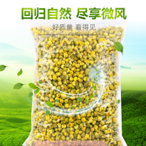 Chrysanthemum tea Sulfur-free fetal chrysanthemum king selected Hangzhou white Chrysanthemum Tongxiang premium non-broken and insect-free Gong Chrysanthemum 250g bulk chrysanthemum