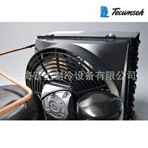 France Taikon compressor chiller AE460YHR vegetable fresh refrigeration refrigeration equipment