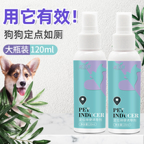 Dog fixed-point toilet defecation inducer pet pull stool artifact cat urine urine stool training