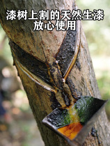 Natural lacquer native lacquer lacquer lacquer urushiol high drying fast blackness good brightness good earthenu lacquer 1kg