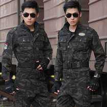 Cotton Black Eagle camouflage suit suit mens special forces military work combat uniforms spring and autumn outdoor military wear-resistant work