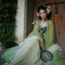 Zixong Oriental aesthetics * Garden dream·Yu Linling heavy industry embroidered Hazi skirt embroidered Hanfu custom