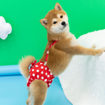 Dog physiological pants Summer female dog safety pants sanitary pants Shiba inu aunt pants female dog anti-harassment can defecate Corgi