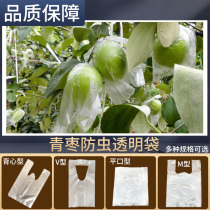 Factory direct supply of green jujube bag big green jujube bag passion fruit bag insect-proof special fruit protection transparent film bag