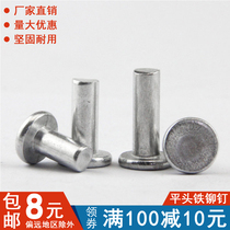(M2M2 5M3M4M5M6)GB109 flat head solid iron rivets galvanized flat head knock type Rivet