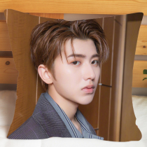 Hot sale pillow quilt dual-purpose office multi-function nap pillow Cai Xukun car cushion pillow air conditioning quilt