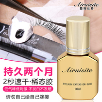 Planting grafted eyelash glue long-lasting ultra-sticky quick-drying fake eye tool beauty salon special non-irritant hypoallergenic