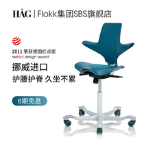 HAG waist protection Learning Office chair swivel chair lifting ergonomic computer chair flokk saddle home riding chair