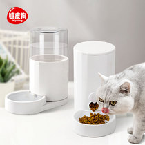 Cat automatic eating device dog bowl pet water dispenser feeder water dog dog drinking water feeding dog Teddy supplies