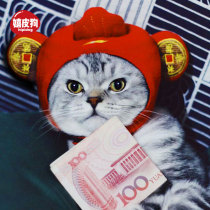 Cai Cai cat headgear hat dog Teddy Garfield dress up wig cat cat puppet blue cat accessories hair accessories