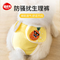 Dog health pants menstrual pants bitch small Teddy Big Aunt underwear women sanitary napkins pet menstrual aunt pants