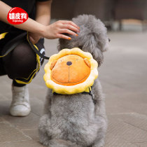 Dog self-backpack cute pet Bo Meifa fight small dog Teddy Corky out of school bag leash rope