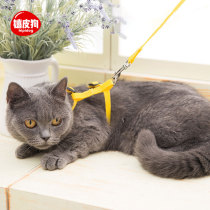Cat rope traction rope Anti-earning off home Cat Rope Item Ring Out for a Cat Amazing Young Cat Braces Kitty Special