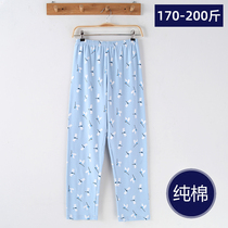 Lady Spring and Autumn Ms loose pure cotton long sleeping pants with increased code high waist 200 catty MM casual home pants for winter wear