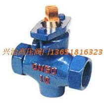 Shanghai Xingzhi cast iron copper core two-way internal thread plug valve X13T-10 DN15-65