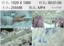 Xiamen birds nest processing base workshop female workers work rest massage shoulder real shot video material