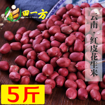 Yunnan selected small particles new red skin peanuts new goods farmers self-produced 5kg of red peanuts peanut bulk