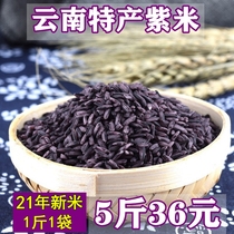 Purple rice Yunnan specialty Mojiang purple glutinous rice coarse grain black glutinous rice rice ball new rice 500g whole grains blood glutinous rice