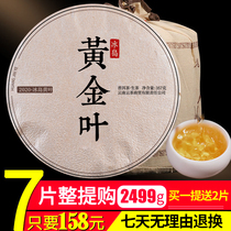 (Total 9 cakes)Yunnan Puer tea raw tea cake Iceland Old Tree pure material Gold leaf old yellow film 357g whole purchase