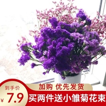  Dried Flower Forget-me-Not Lover Grass Starry Lavender Crystal Grass Yunnan Real Flower Decorative flower Dried flower Bouquet