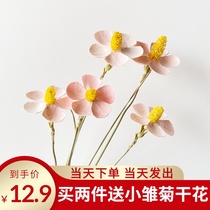 Dried flower bouquet Nordic style simple small fresh hotel living room home decoration ornaments Violet dried flowers Eternal flowers