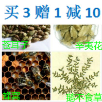 Chinese Herbal medicine Allergic stuffy rhinitis Seasonal artifact Sneezing Runny nose Itchy nose Unventilated Adult Children
