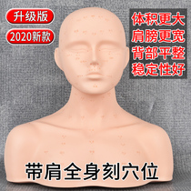 Beauty salon learning facial acupoint massage with shoulder dummy bald head model practice method skin management head model