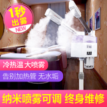 Taidong hot and cold sprayer beauty instrument beauty salon hot spray steam face double spray Face Tonic Hydrotherapy home